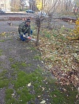Удаление поросли на территории д.32а по ул. Куйбышева 
